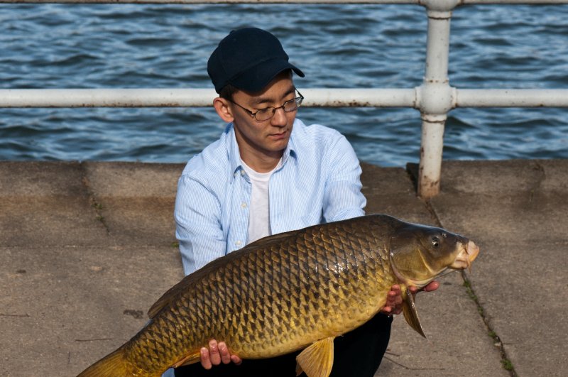 005_DSC5530.jpg - Now that's a Carp!