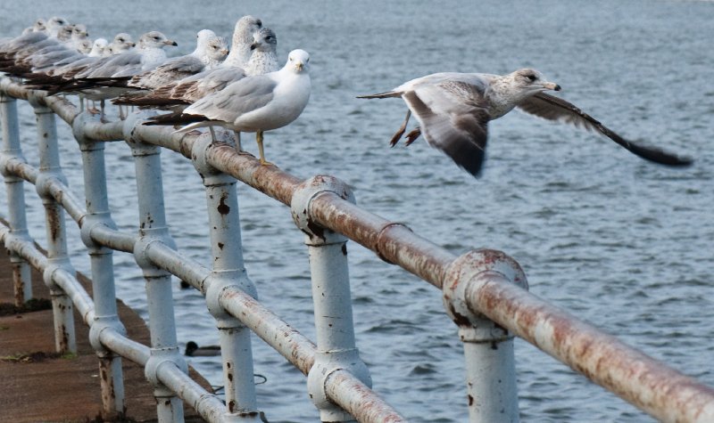 009_DSC5533.jpg - Flight 001 cleared for takeoff