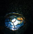 _DSC3559